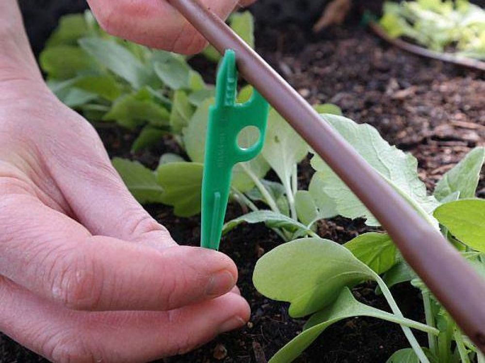 biogarten Bewässerung für Hochbeete
